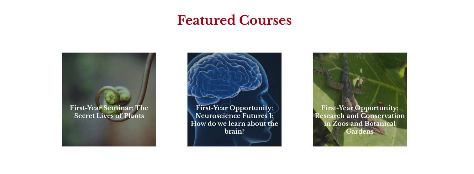 three linked images appear across the top of the page with course titles superimposed
